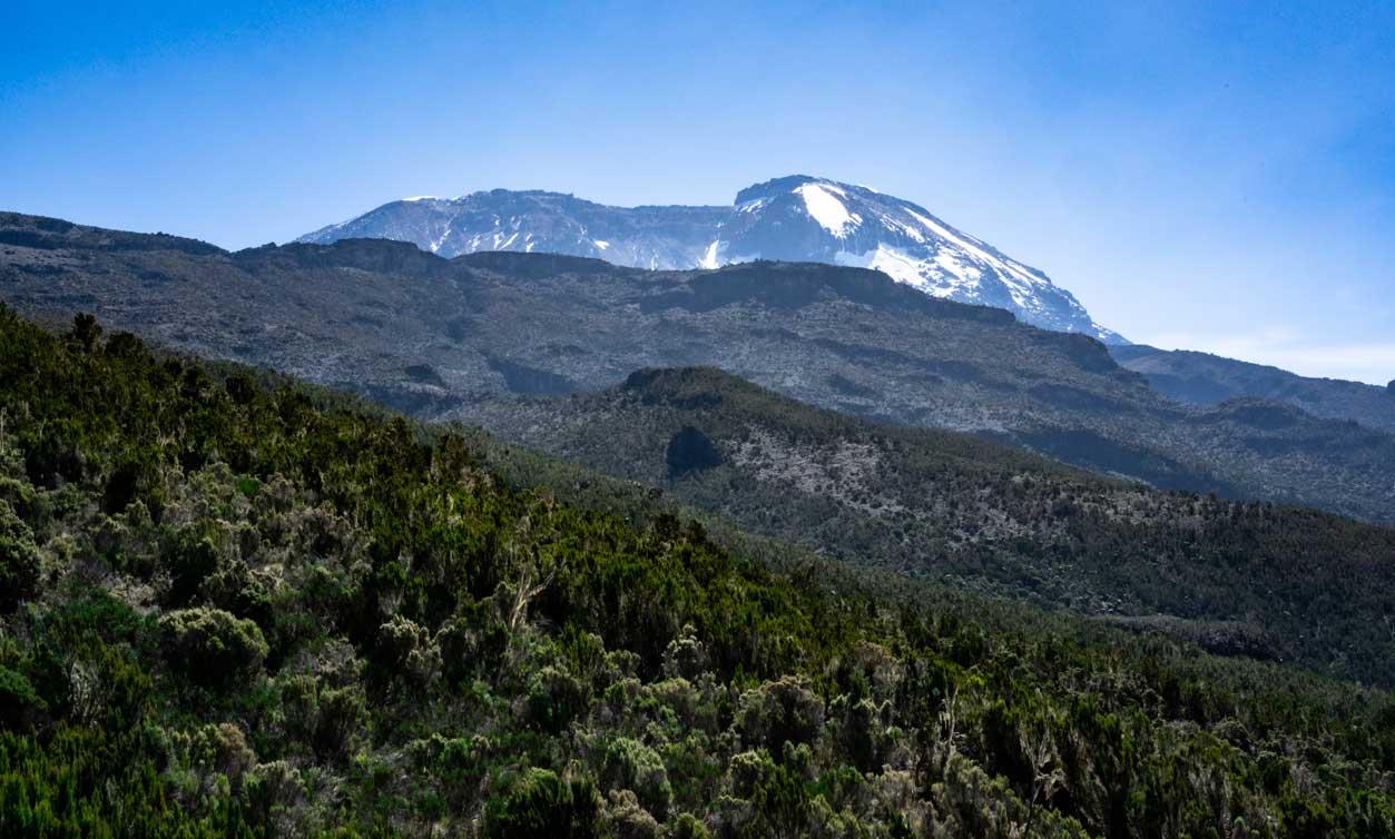 8 days kilimanjaro lemosho route