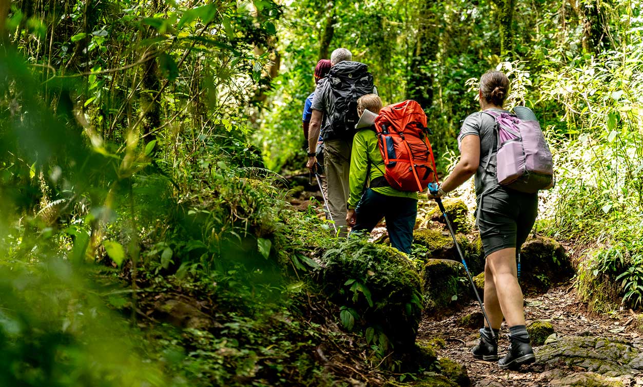 6 Days Rongai Route Kilimanjaro Climbing | Climbing Kilimanjaro